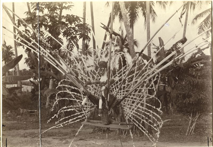 229275 Hoofdtooi voorstellende de bamboe-dema, gefotografeerd in de tuin van de missiestatie in Merauke (Indonesië)